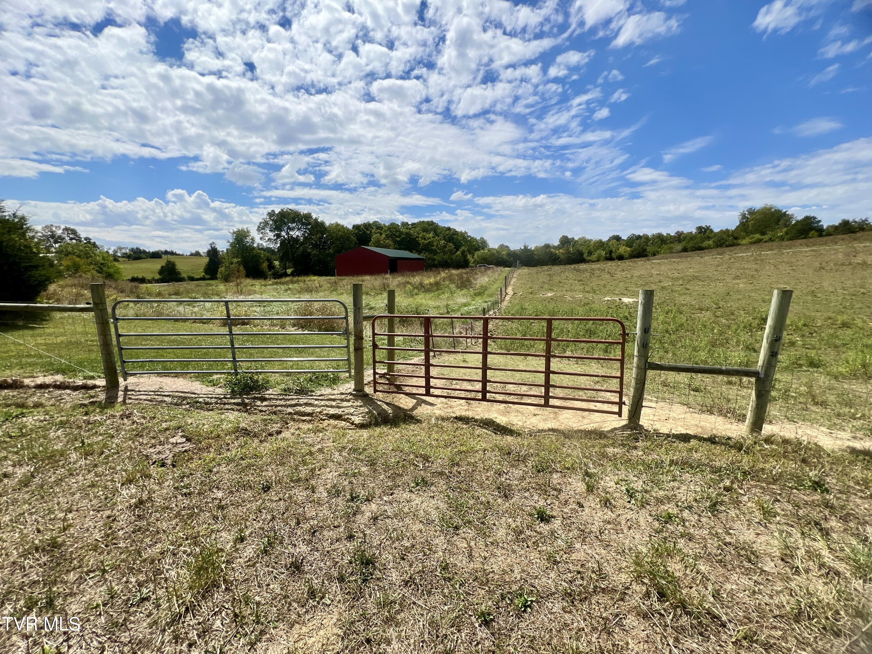 1550 Mt Hope Road, Unit 1 Mohawk, TN 37810 - Photo 77 of 113 _Pic76 (4)