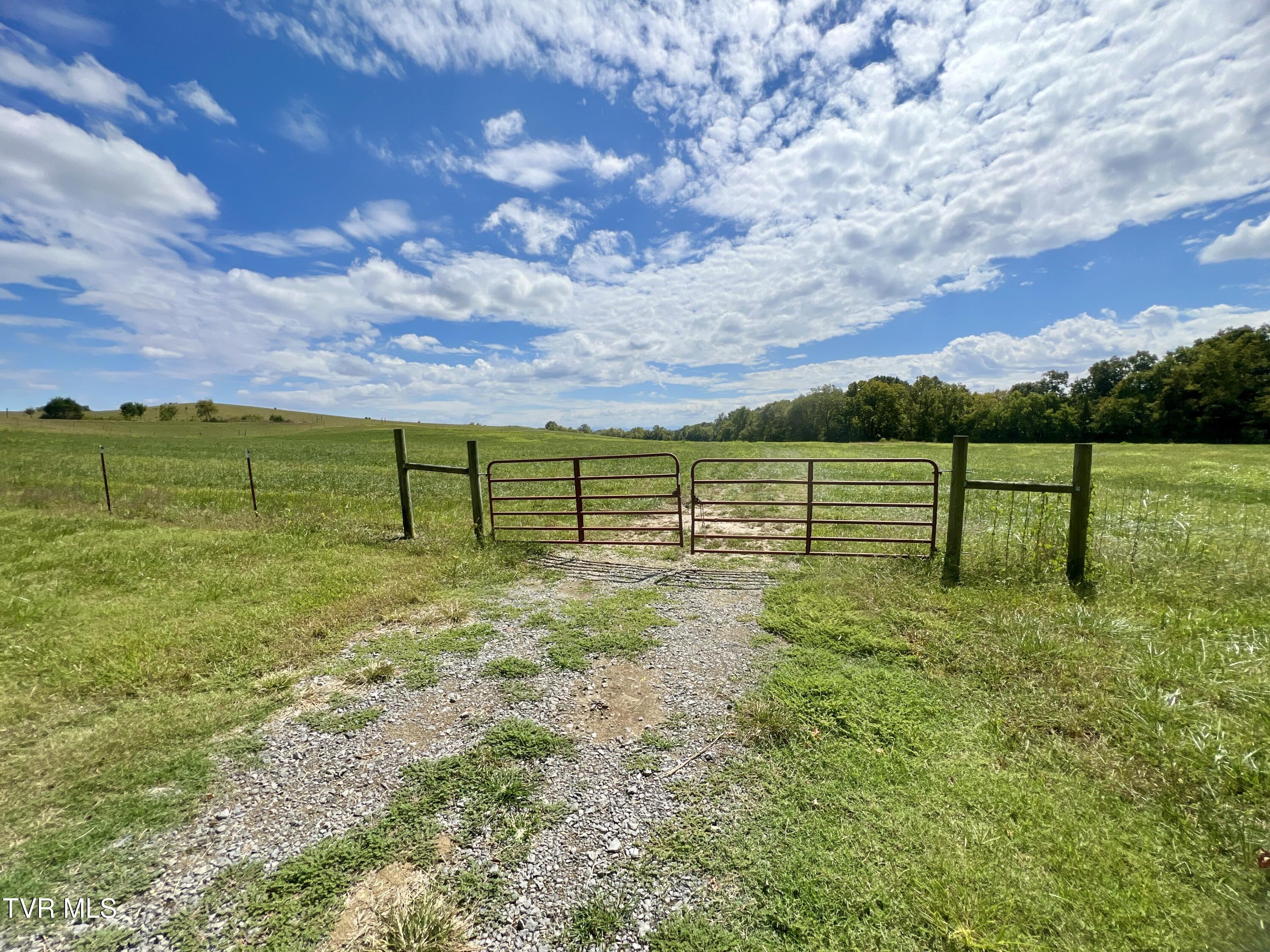 1550 Mt Hope Road, Unit 1 Mohawk, TN 37810 - Photo 80 of 113 _Pic79 (5)