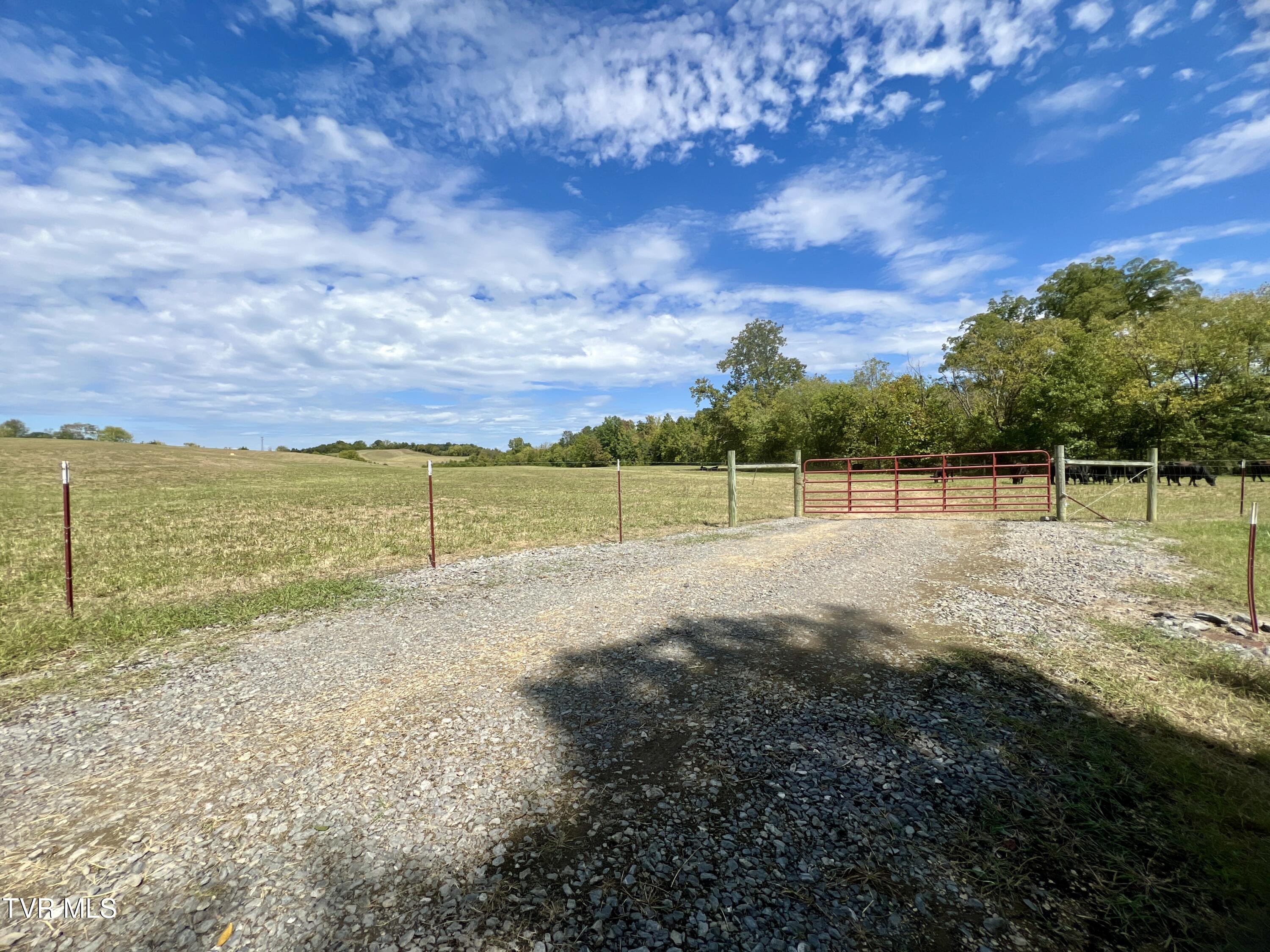 1550 Mt Hope Road, Unit 1 Mohawk, TN 37810 - Photo 81 of 113 _Pic80 (4)