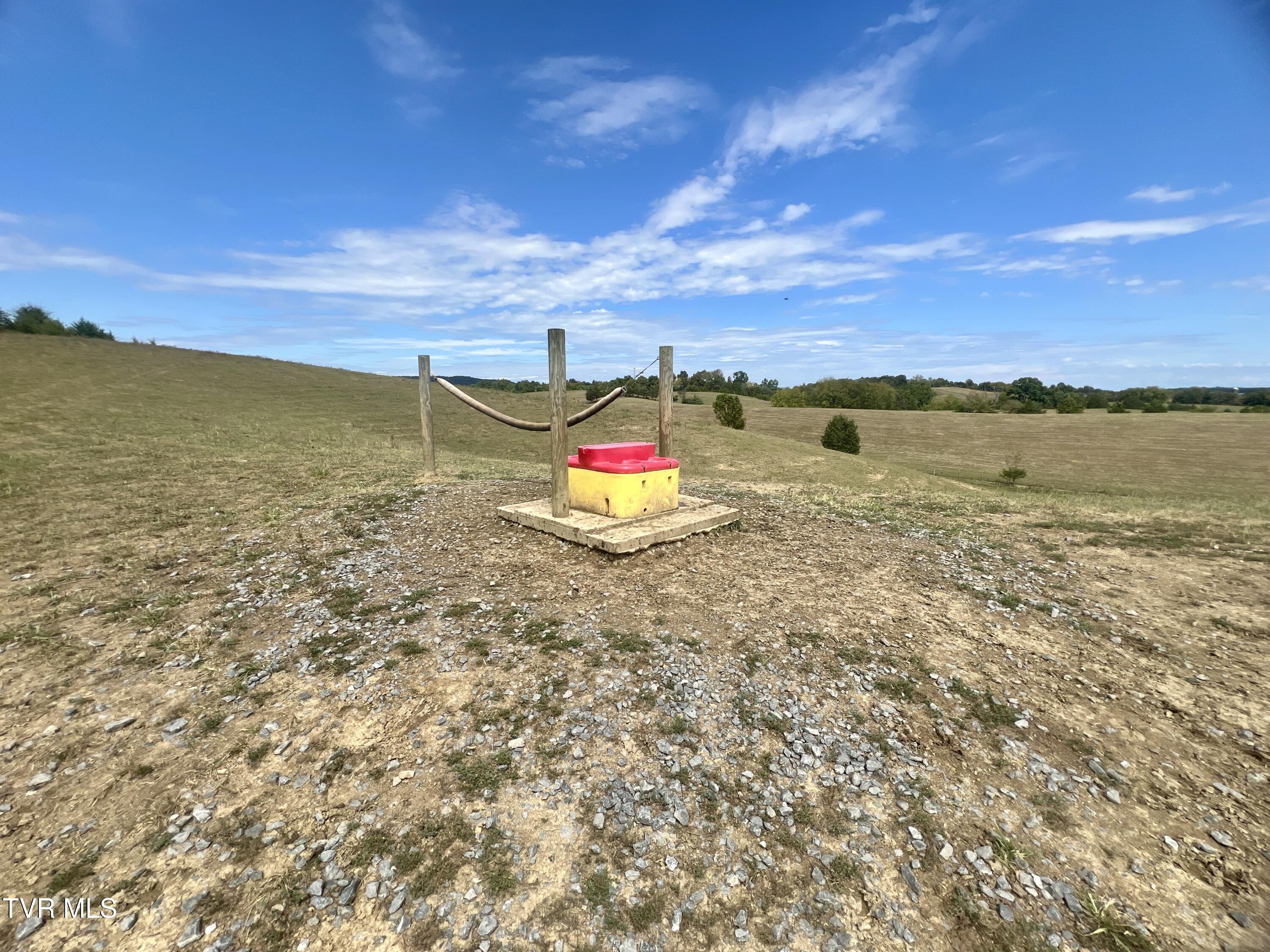 1550 Mt Hope Road, Unit 1 Mohawk, TN 37810 - Photo 86 of 113 _Pic94 (3)