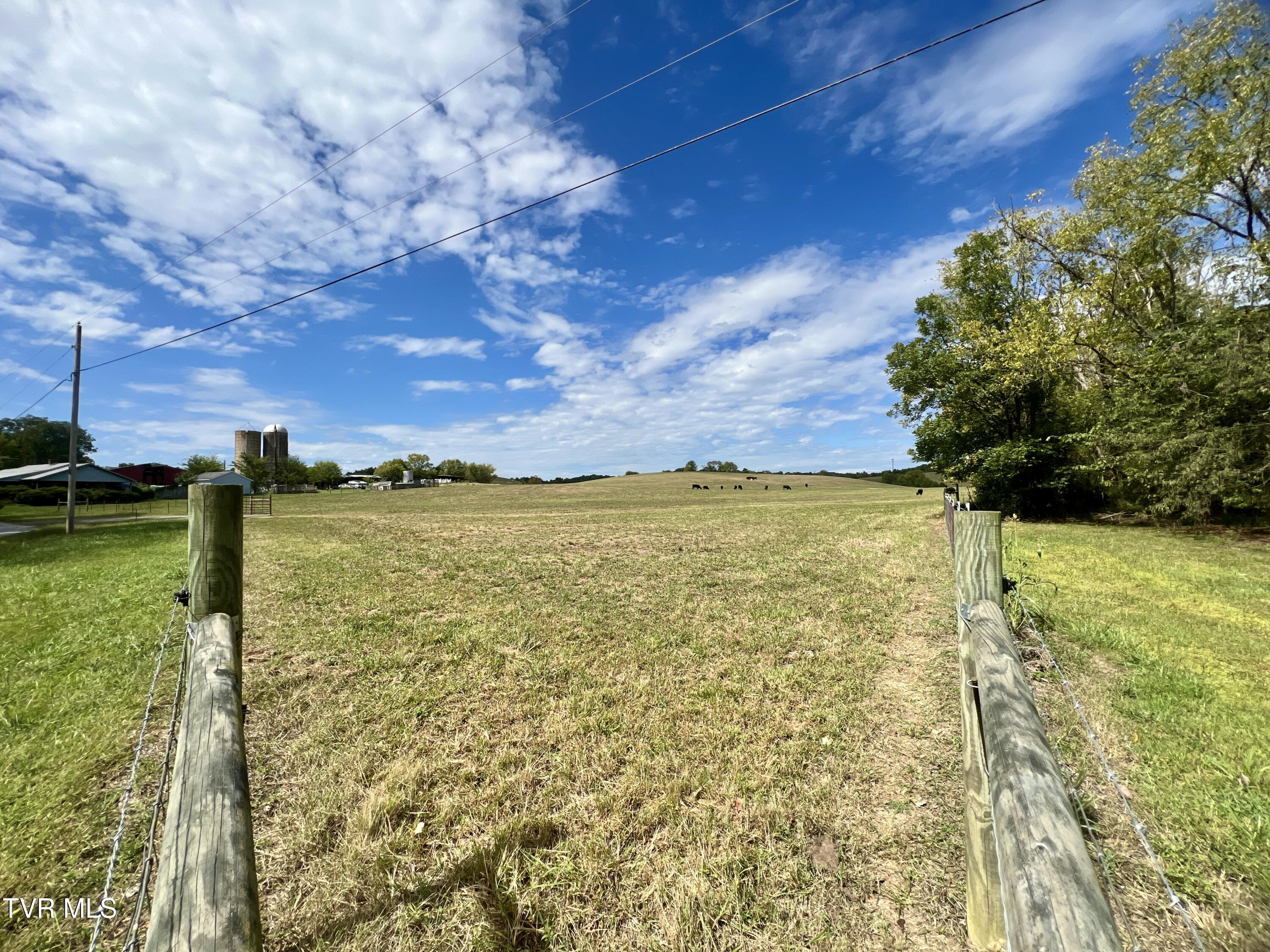 1550 Mt Hope Road, Unit 1 Mohawk, TN 37810 - Photo 87 of 113 _Pic85 (5)