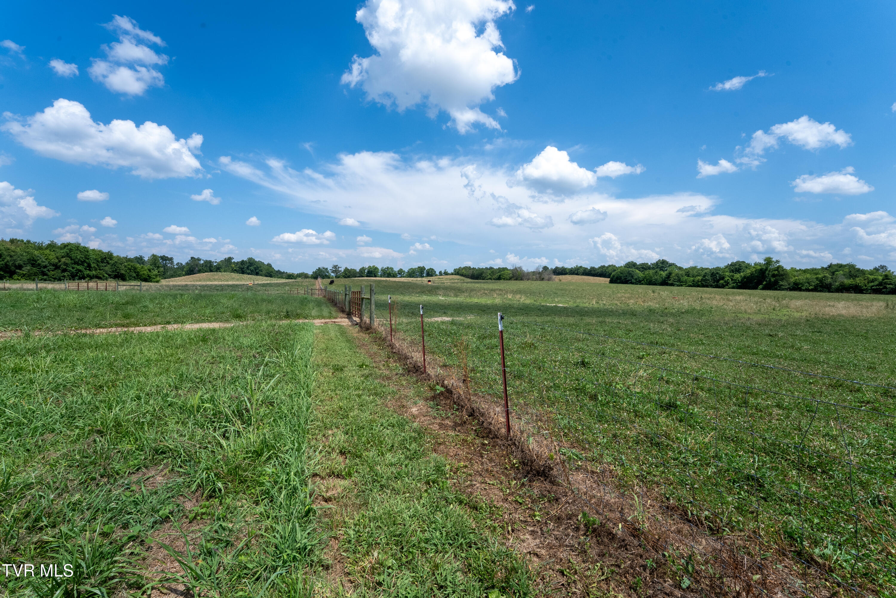 1550 Mt Hope Road, Unit 1 Mohawk, TN 37810 - Photo 89 of 113 _Pic87 (4)