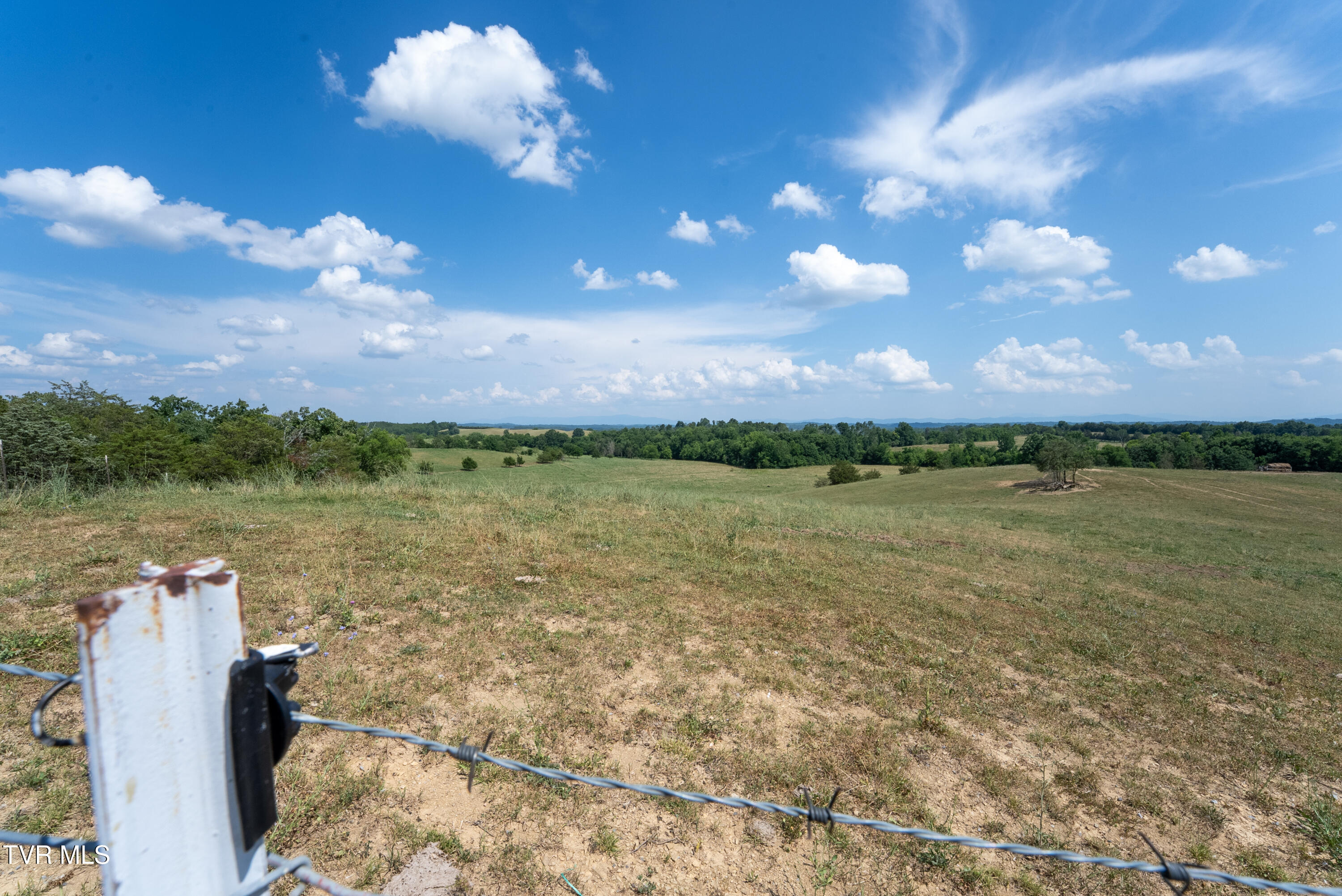 1550 Mt Hope Road, Unit 1 Mohawk, TN 37810 - Photo 90 of 113 _Pic88 (4)
