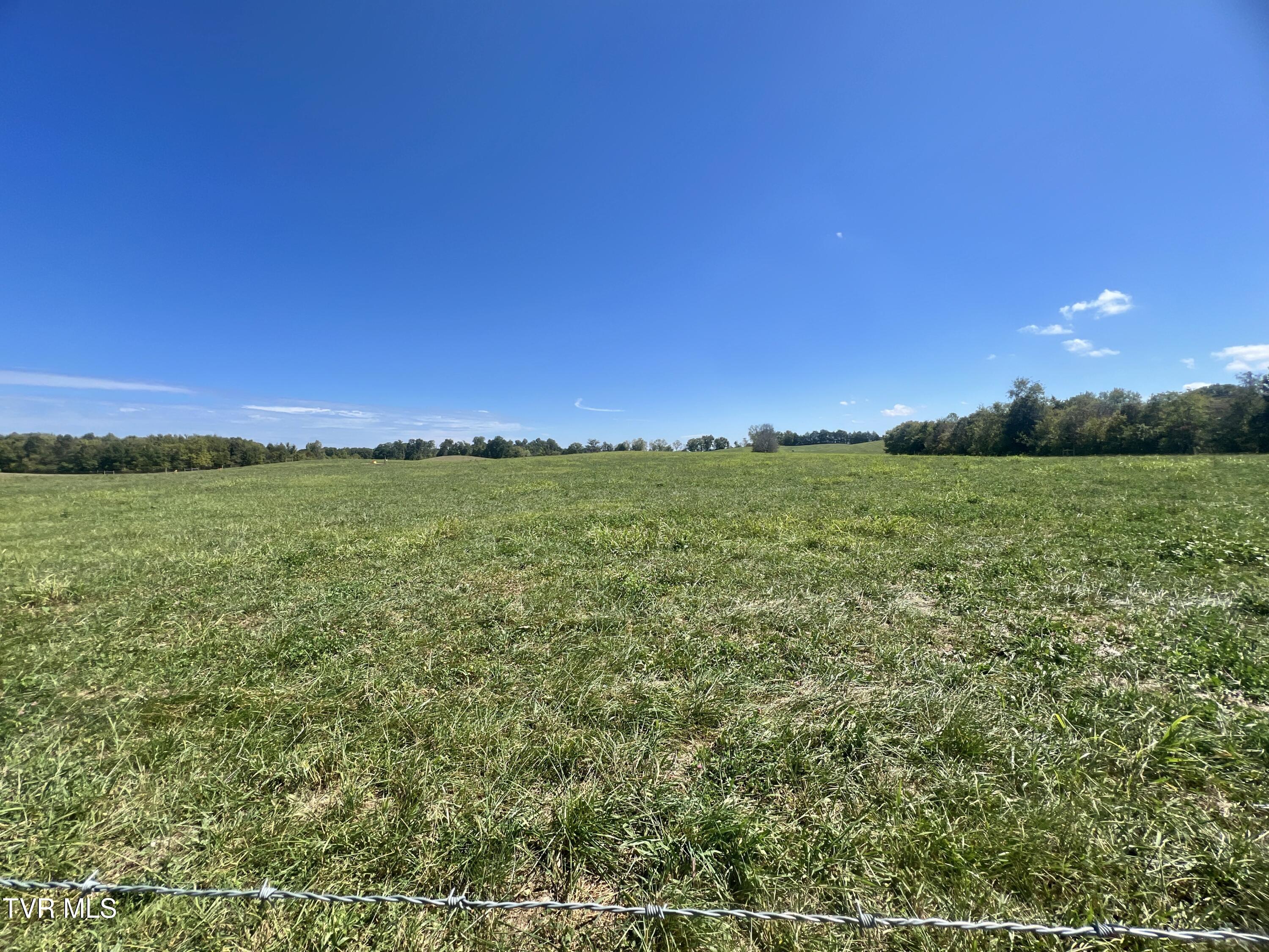 1550 Mt Hope Road, Unit 1 Mohawk, TN 37810 - Photo 93 of 113 _Pic91 (4)