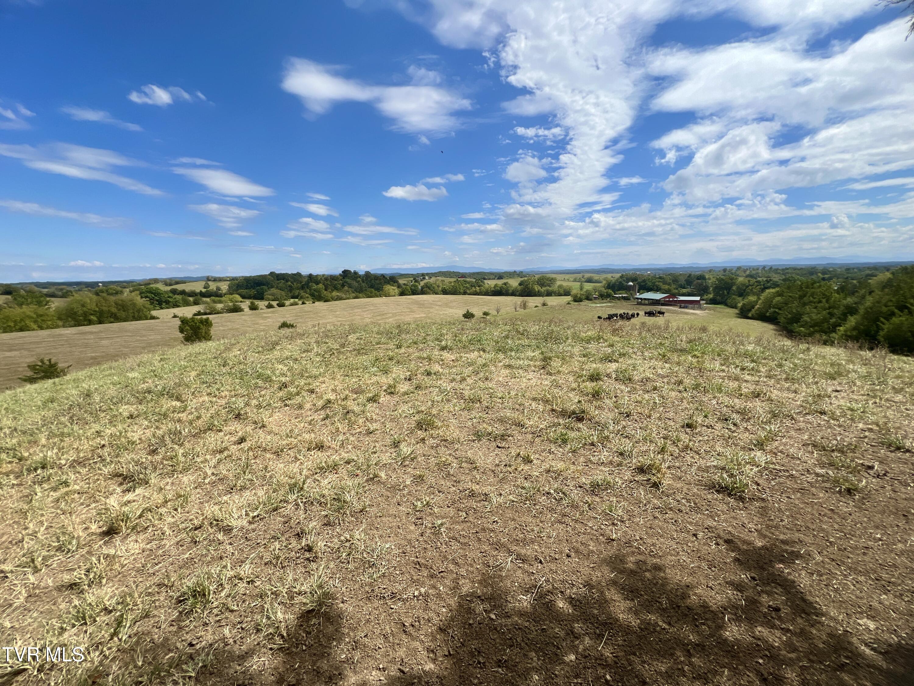 1550 Mt Hope Road, Unit 1 Mohawk, TN 37810 - Photo 96 of 113 _Pic95 (5)