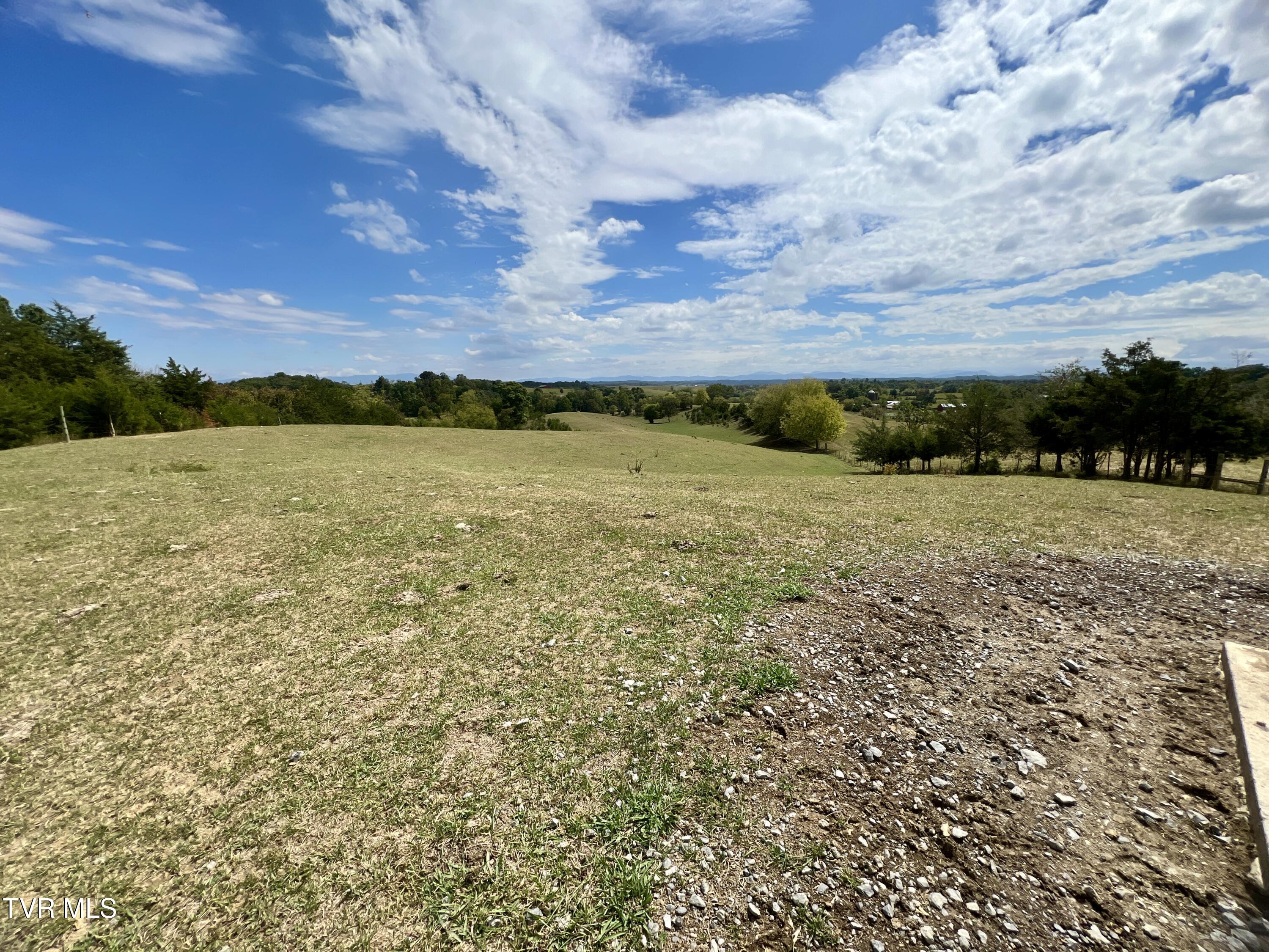 1550 Mt Hope Road, Unit 1 Mohawk, TN 37810 - Photo 97 of 113 _Pic96 (4)