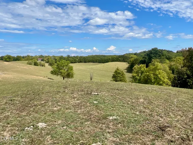 $4,900,000 | 1550 Mt Hope Road, Unit 1, Mohawk, TN 37810