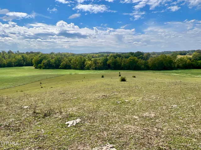 $4,900,000 | 1550 Mt Hope Road, Unit 1, Mohawk, TN 37810