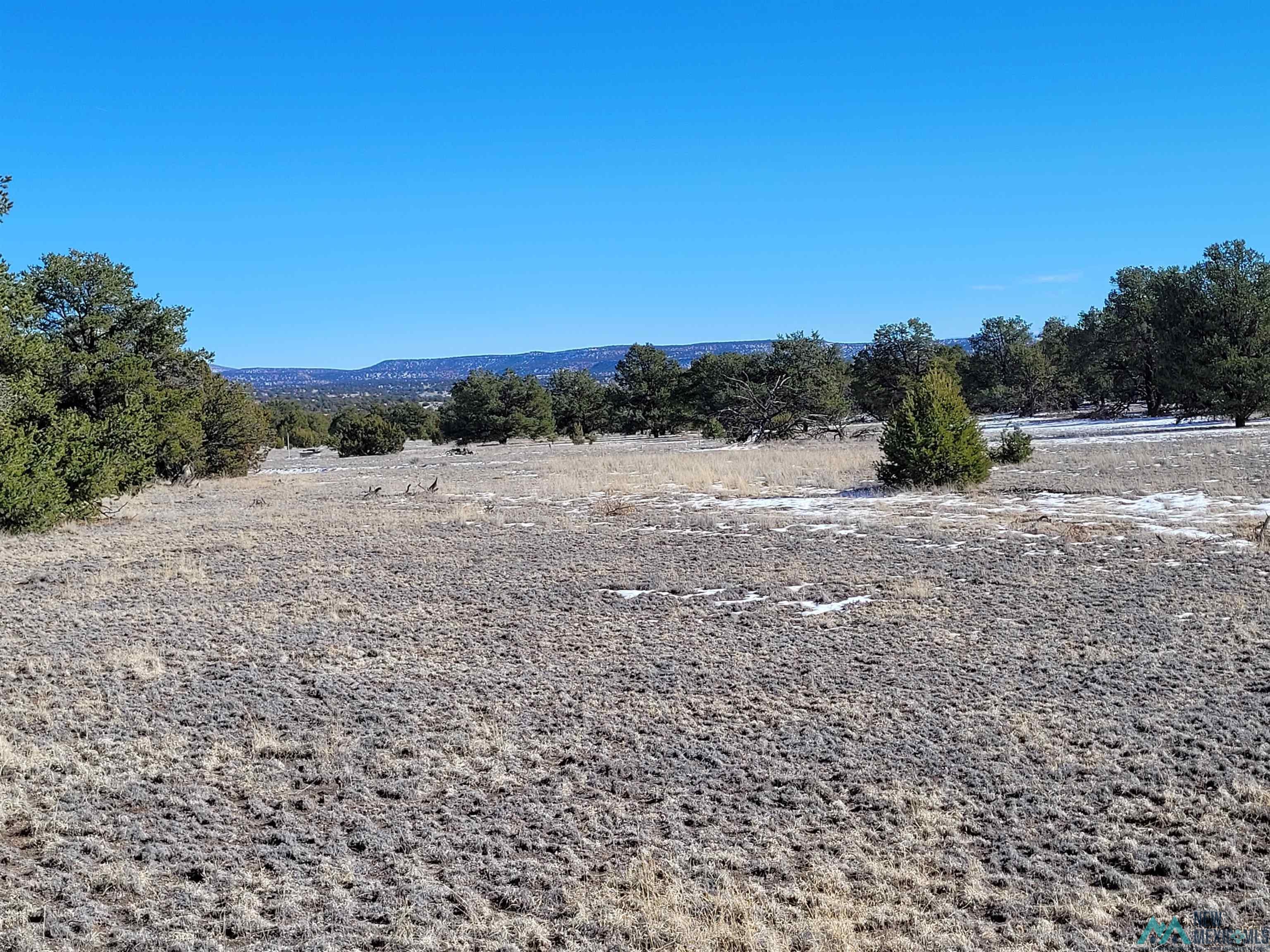 1 Jackass Lane, Unit 1 Datil, NM 87821 - Photo 29 of 46 Gallery Image 29