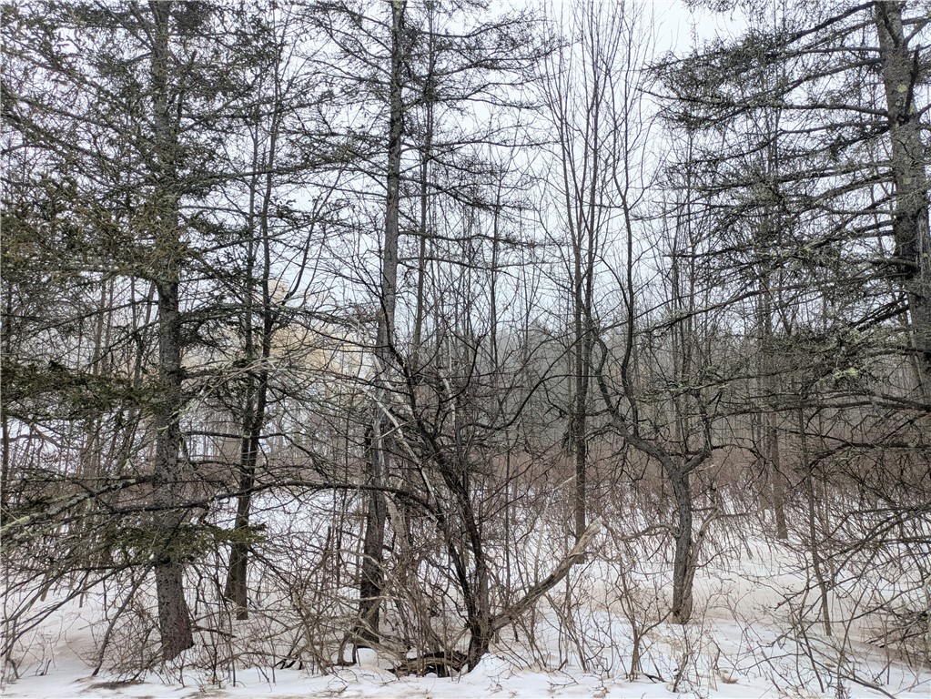 345 Brand Hollow Road Durham, NY 12422 - Photo 2 of 6