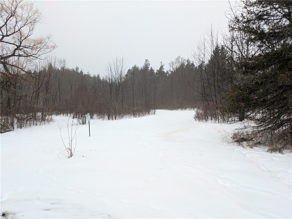 345 Brand Hollow Road Durham, NY 12422 - Photo 3 of 6