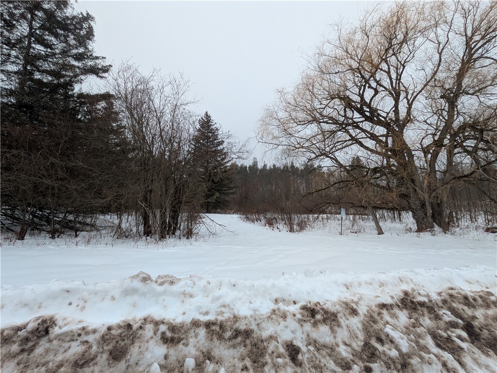 345 Brand Hollow Road Durham, NY 12422 - Photo 4 of 6