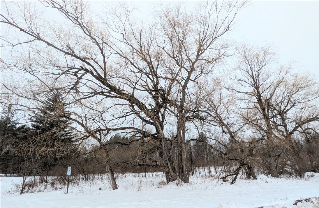 345 Brand Hollow Road Durham, NY 12422 - Photo 5 of 6