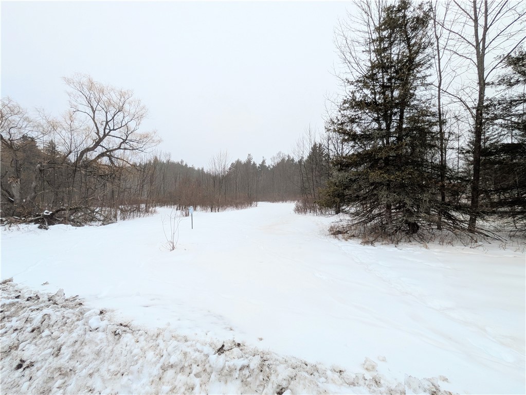 345 Brand Hollow Road Durham, NY 12422 - Photo 6 of 6