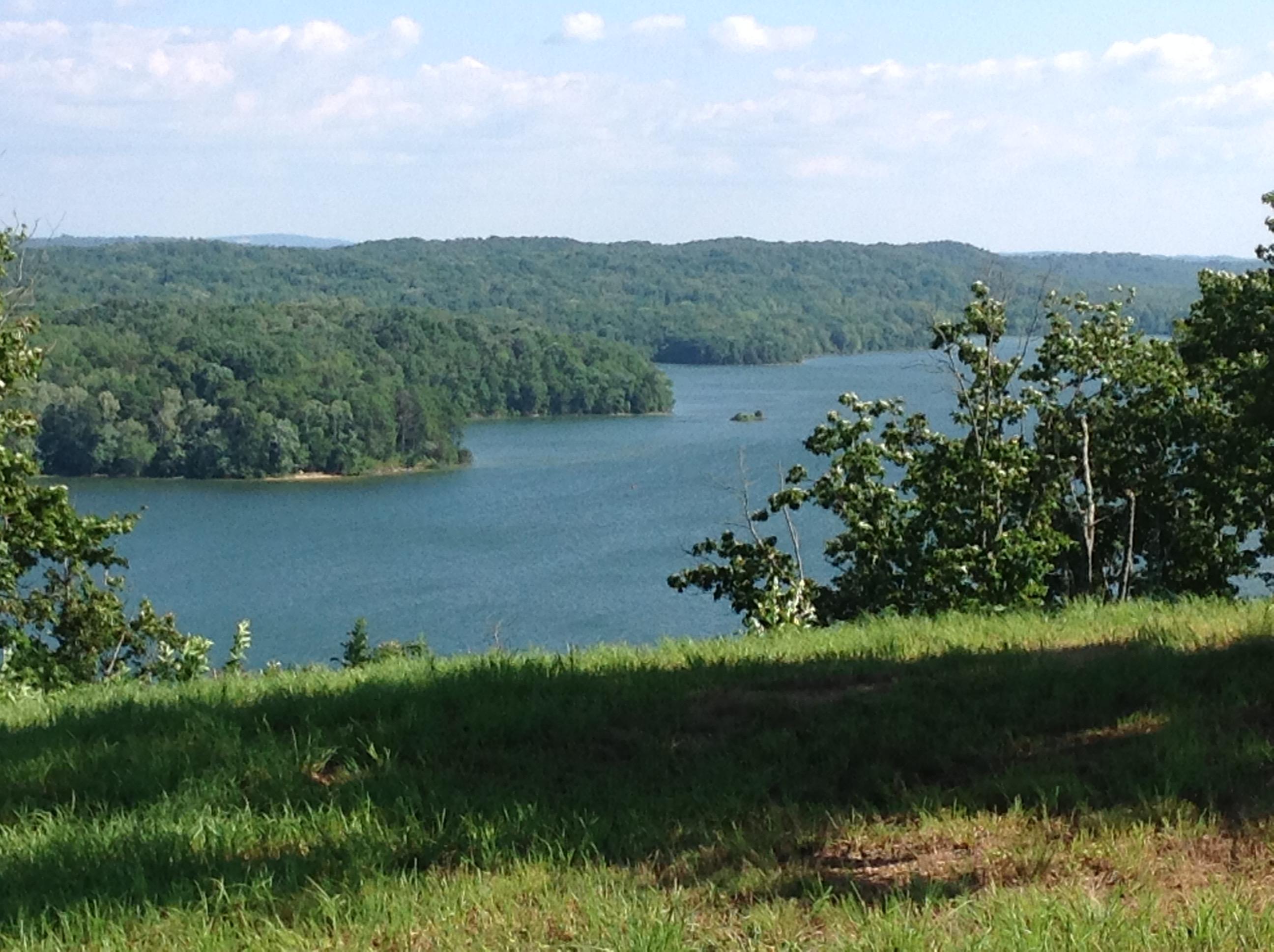 522 Hidden Forest Trail Spring, Unit 31 Spring City, TN 37381 - Photo 1 of 6 Back of Lot 31 & water