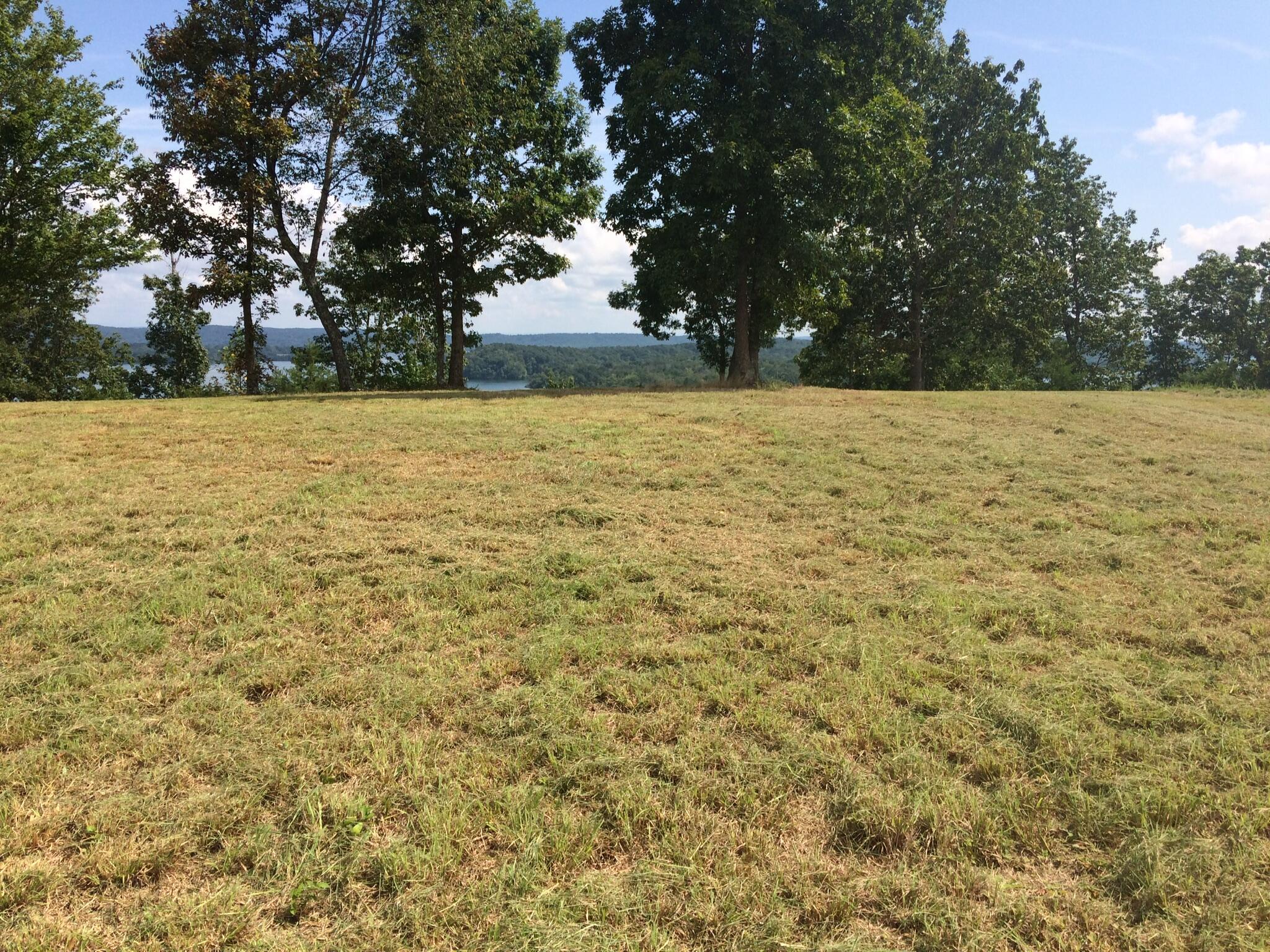 522 Hidden Forest Trail Spring, Unit 31 Spring City, TN 37381 - Photo 3 of 6 Lot 31 & a little water