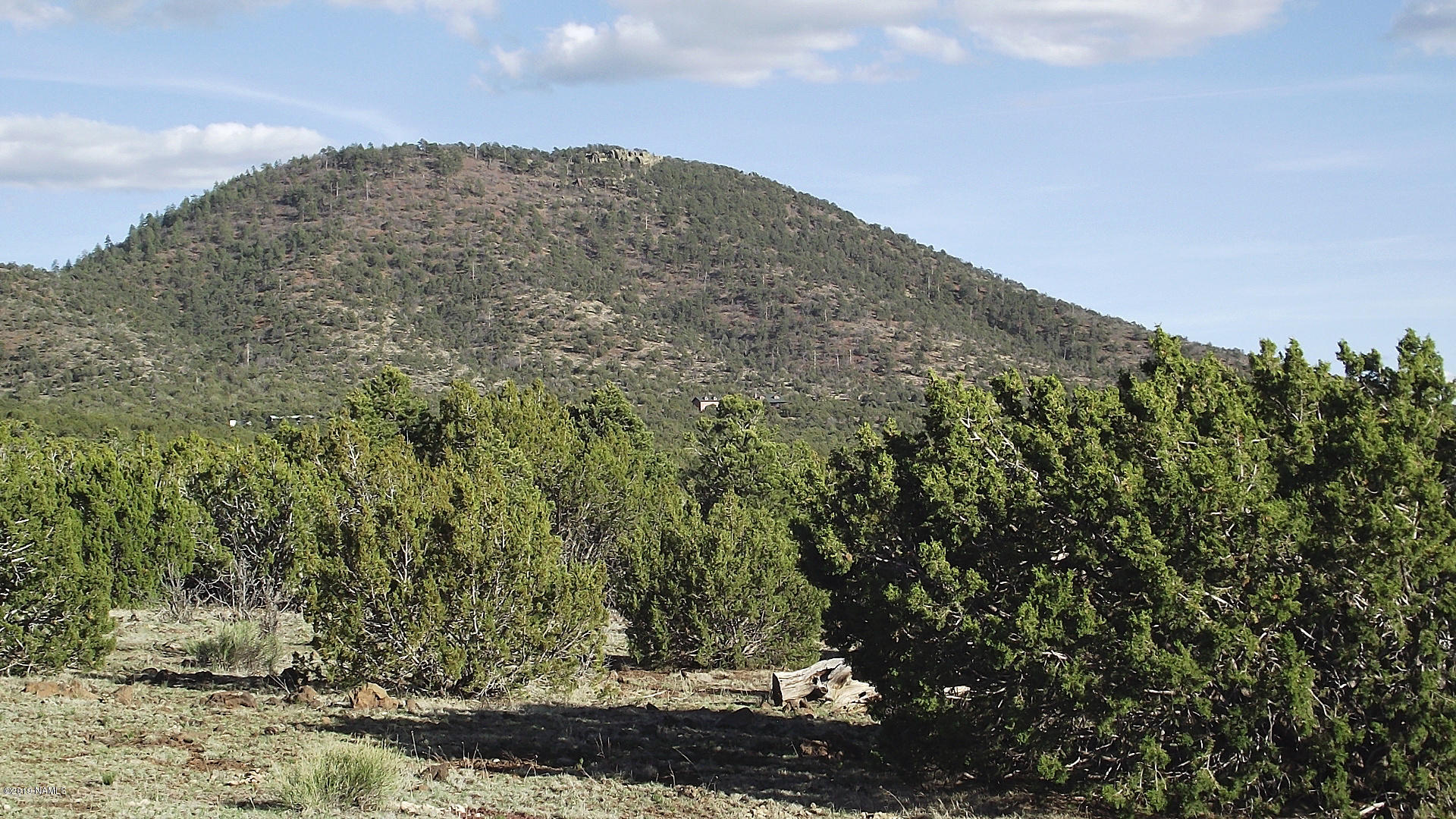 10765 North Falcon Ridge Road Williams, AZ 86046 - Photo 8 of 11 DSCF3145 (1)