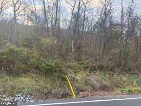 0 Rt 333 Mifflintown, PA 17059 - Photo 3 of 10 a view of a dry yard