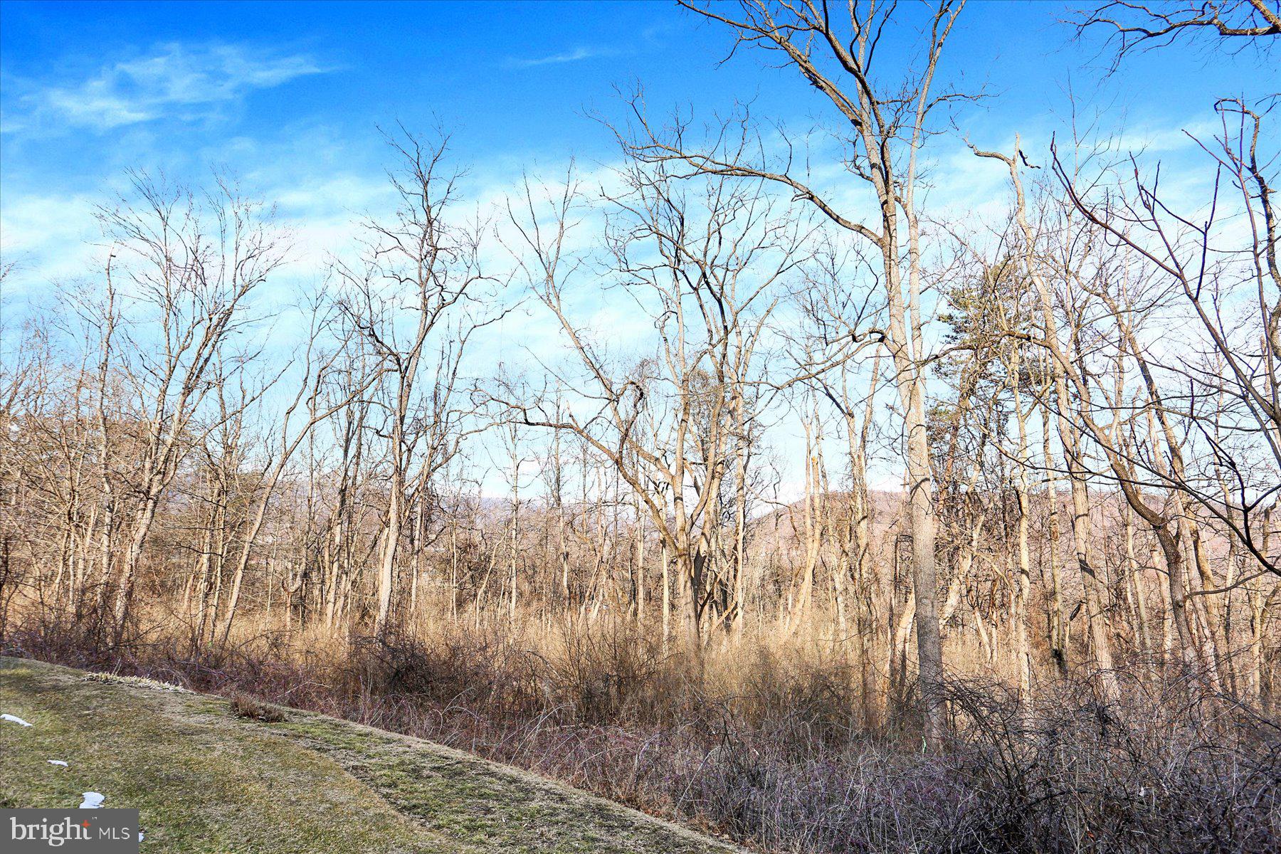 0 Rt 333 Mifflintown, PA 17059 - Photo 10 of 10 a backyard of a house with lots of green space