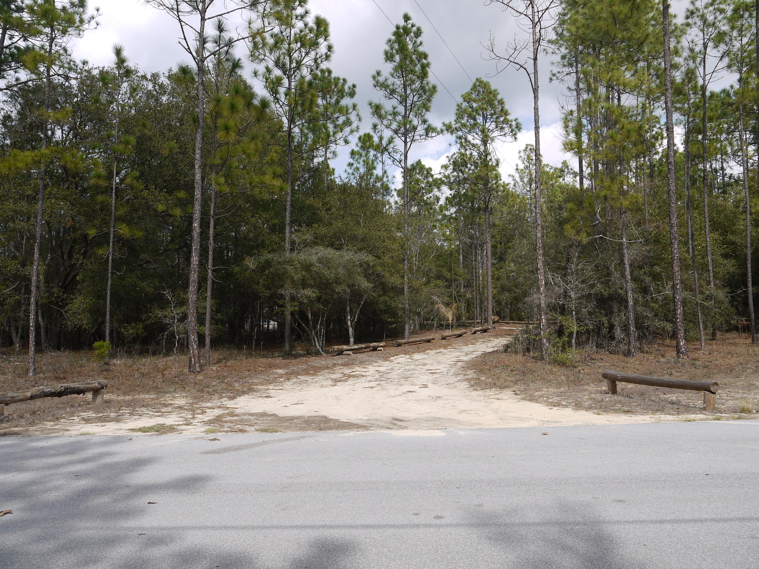 4449 Yellow Bluff Road Crestview, FL 32539 - Photo 42 of 42 a view of a yard with a tree