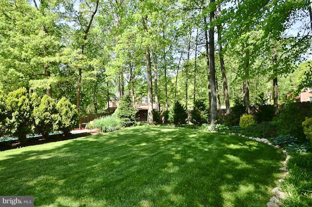 7200 Homestead Place Springfield, VA 22151 - Photo 14 of 25 Exterior (Rear)