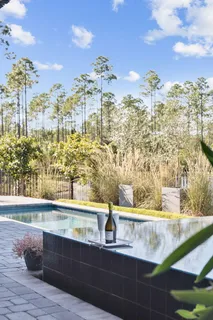 $1,530,000 | 62 Tamoka Ct Inlet Beach, Inlet Beach, FL 32461