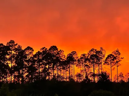 $1,530,000 | 62 Tamoka Ct Inlet Beach, Inlet Beach, FL 32461