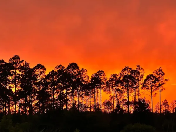 $1,499,000 | 62 Tamoka Ct Inlet Beach, Inlet Beach, FL 32461