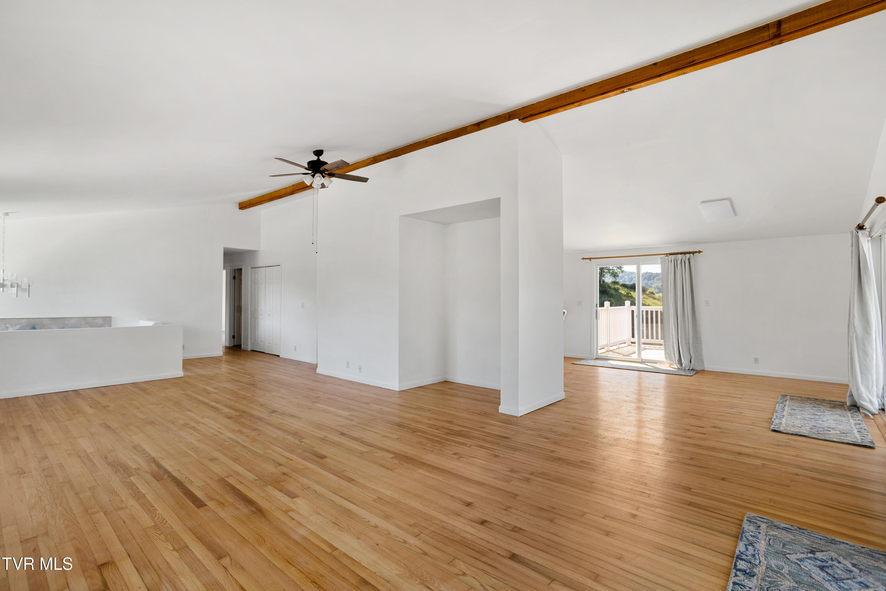 27363 Fudge Road Meadowview, VA 24361 - Photo 19 of 83 177A4328-HDR