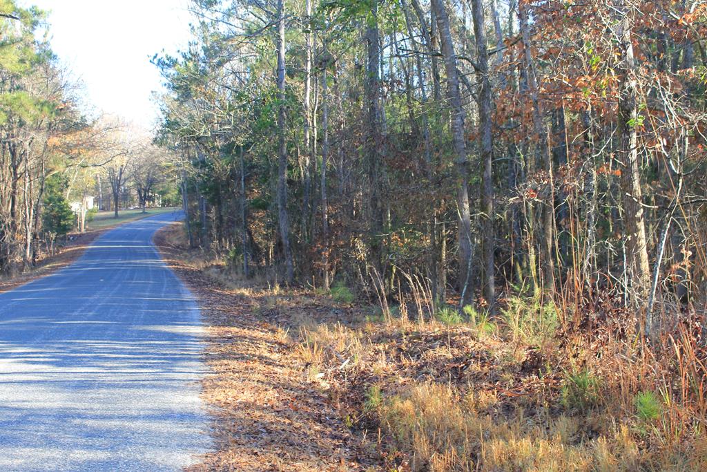 0 Whitten Road Waterloo, SC 29384 - Photo 1 of 1