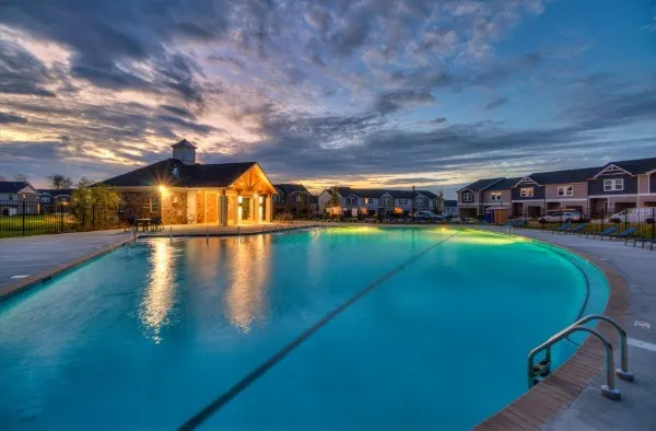 a view of a swimming pool with a garden and plants