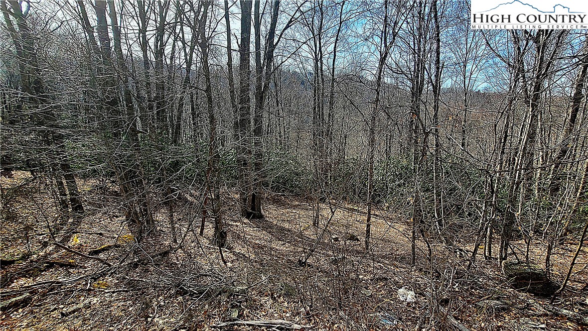 327 Locust Ridge Road Beech Mountain, NC 28604 - Photo 21 of 27 a view of a yard with large trees