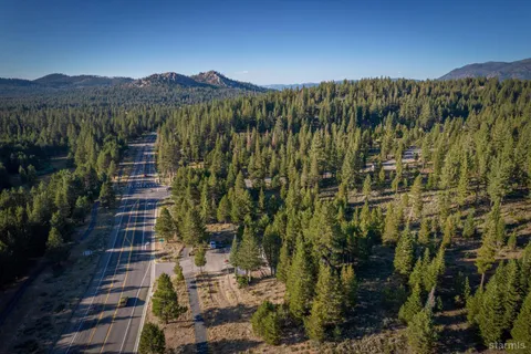 a view of a city with tall trees