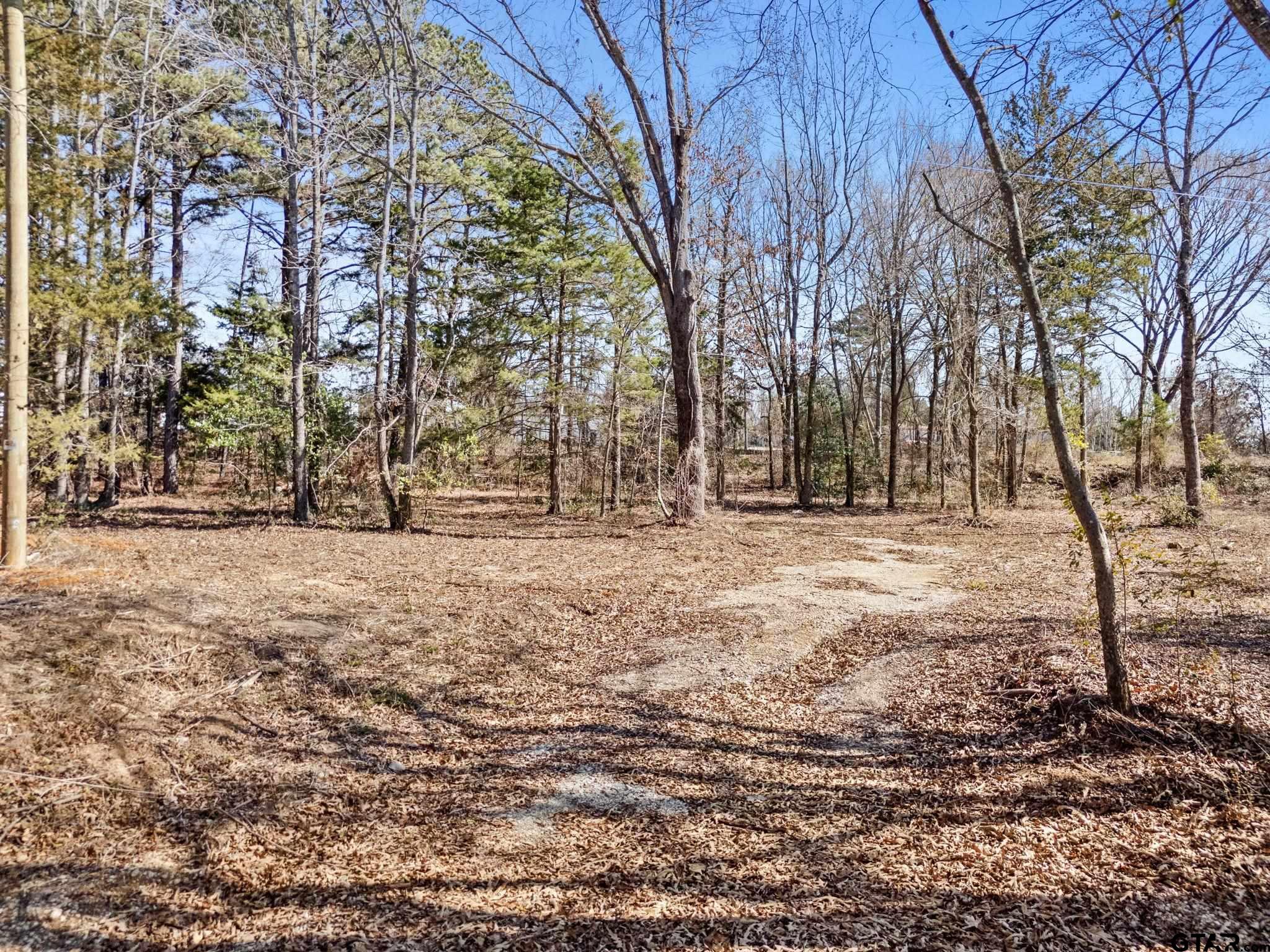 1800 County Road 386 Tyler, TX 75708 - Photo 3 of 7