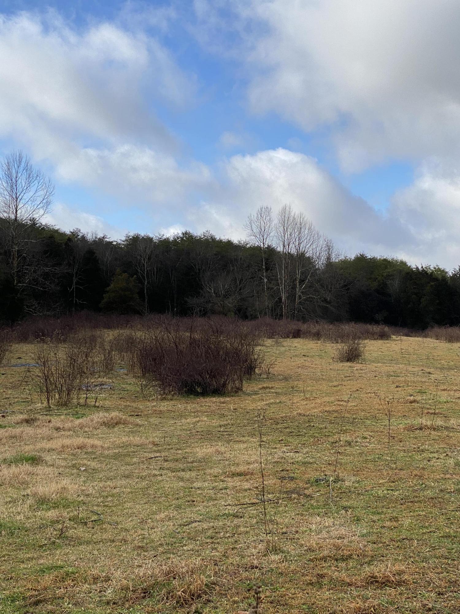 0 Rutledge Pike Rutledge, TN 37861 - Photo 20 of 26 IMG_9571