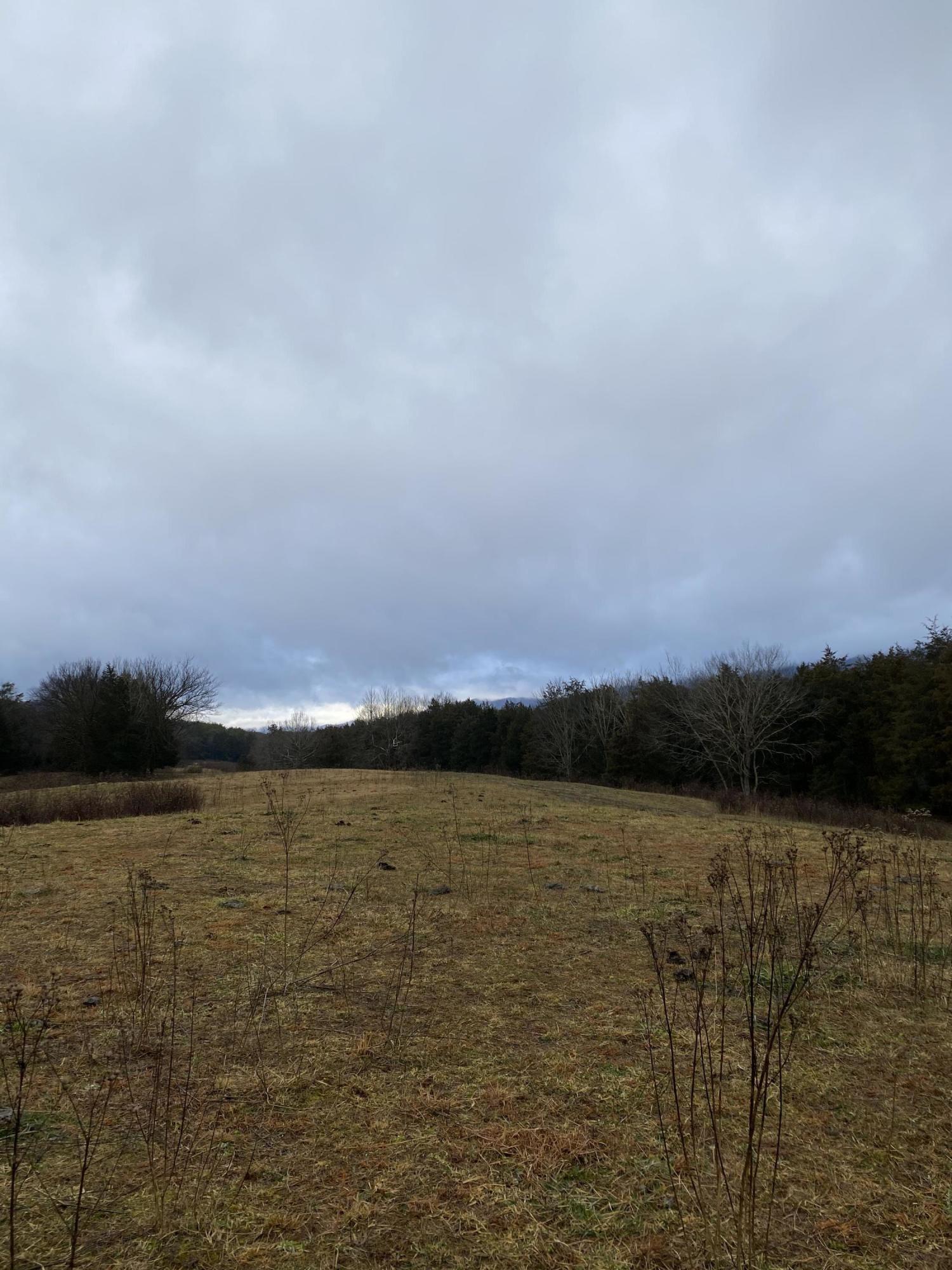 0 Rutledge Pike Rutledge, TN 37861 - Photo 23 of 26 IMG_9549