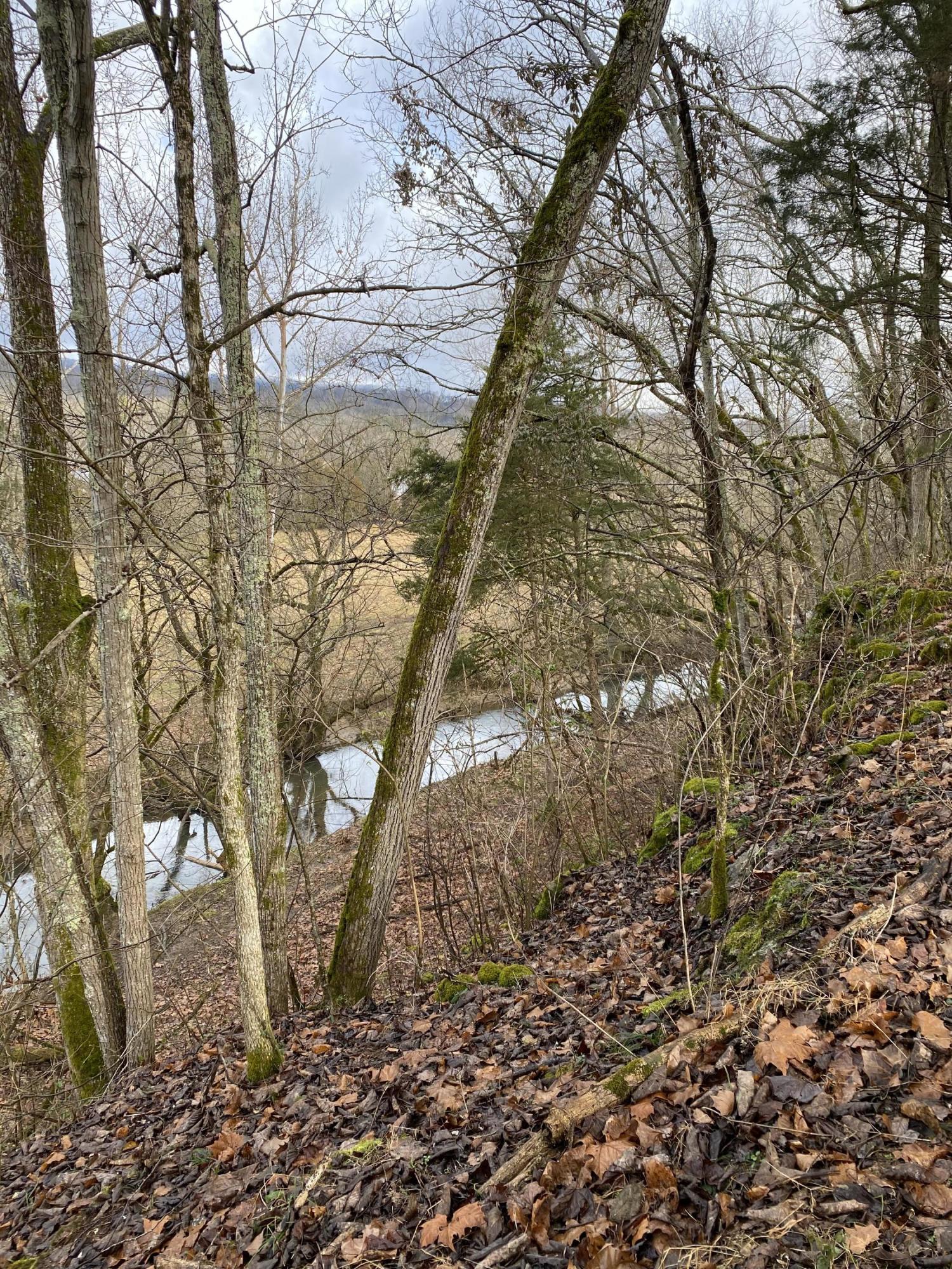 0 Rutledge Pike Rutledge, TN 37861 - Photo 24 of 26 IMG_9584