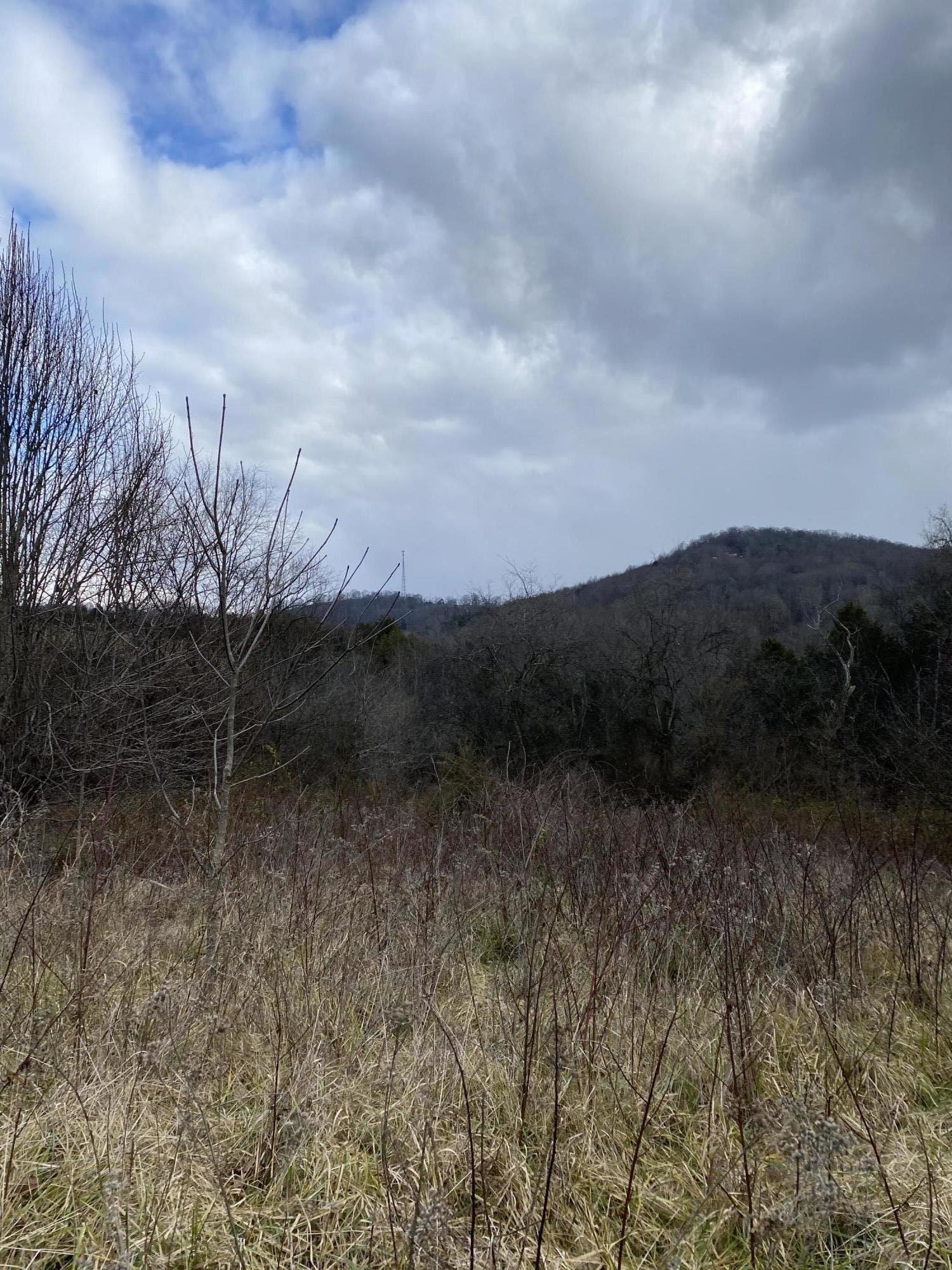 0 Rutledge Pike Rutledge, TN 37861 - Photo 5 of 26 IMG_9605