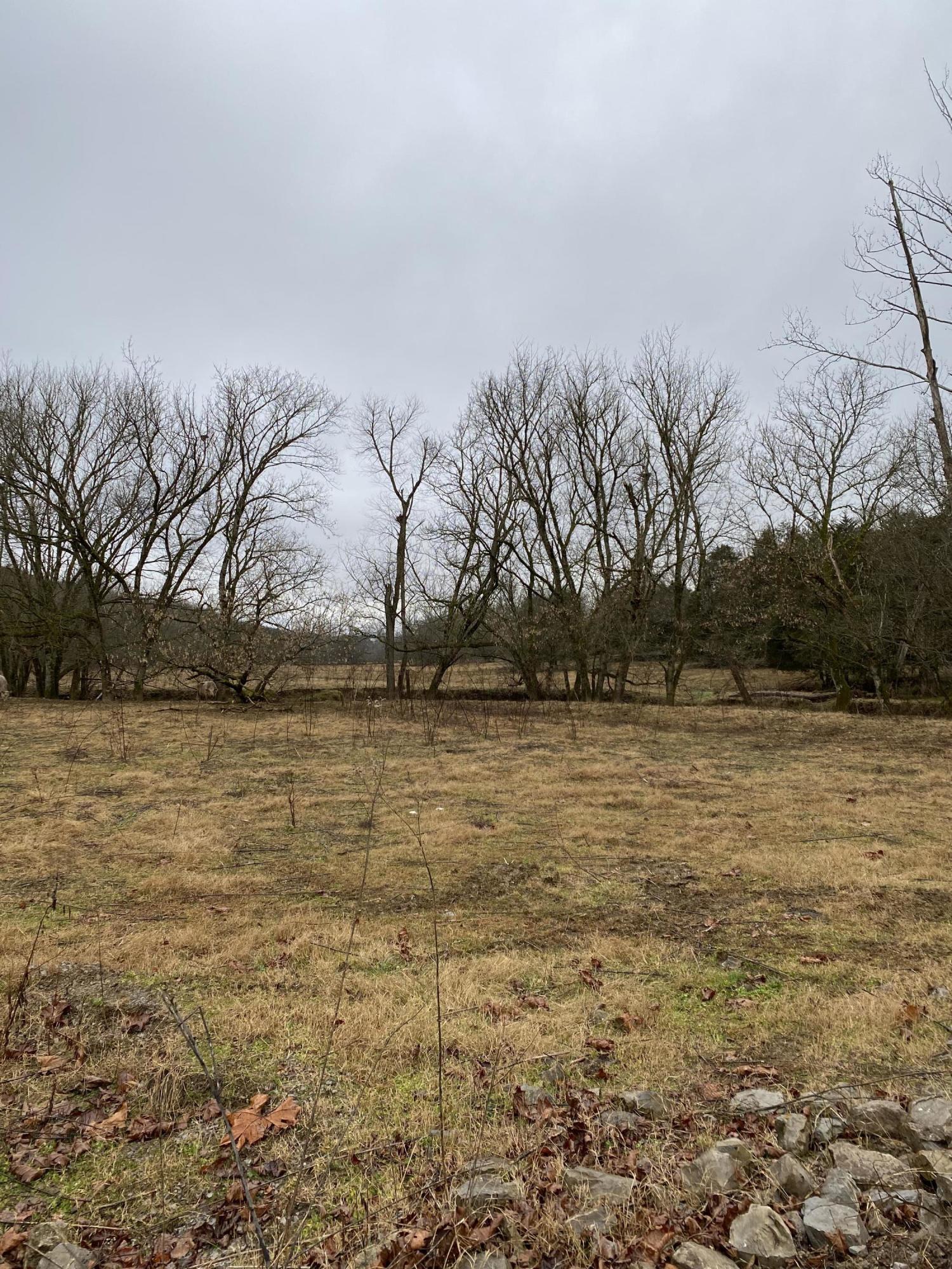 0 Rutledge Pike Rutledge, TN 37861 - Photo 6 of 26 IMG_9542