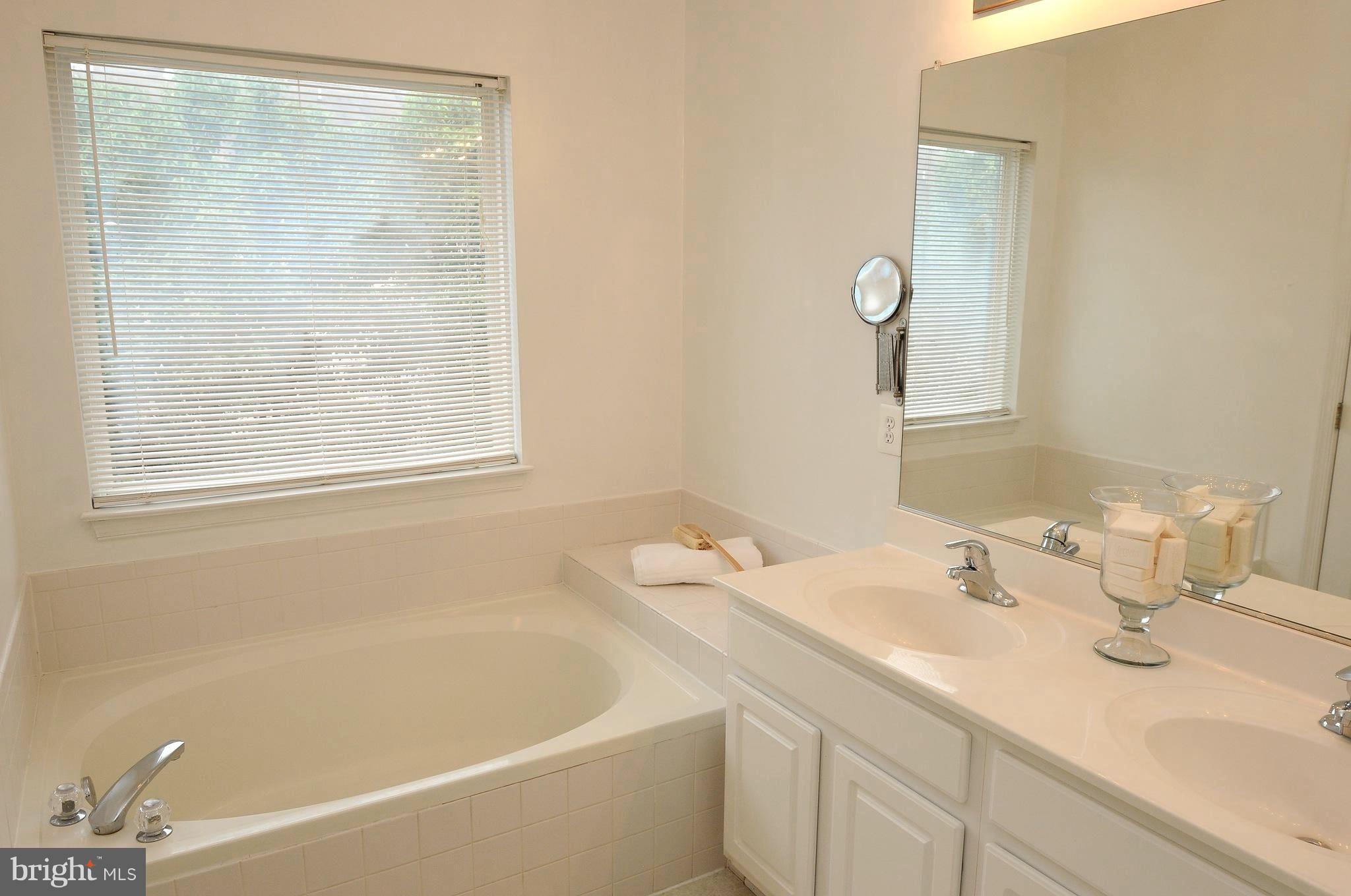 21451 Tamarack Ridge Square Sterling, VA 20164 - Photo 14 of 25 spa soaking tub