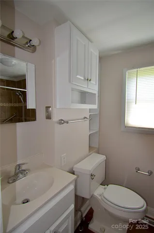 a bathroom with a sink a toilet and a mirror