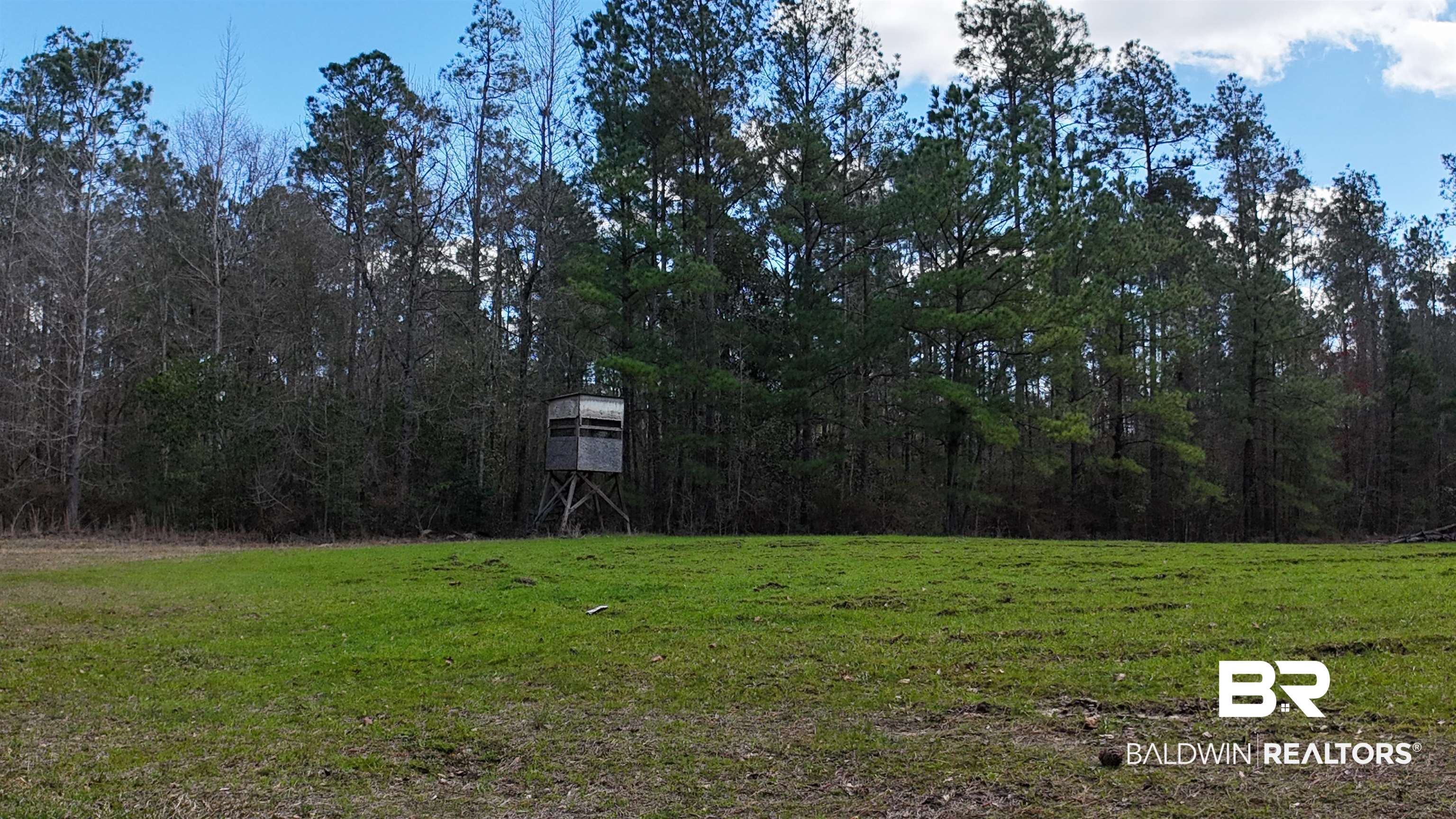 11808 Abb Road Tibbie, AL 36583 - Photo 10 of 31 View of yard with a forest view