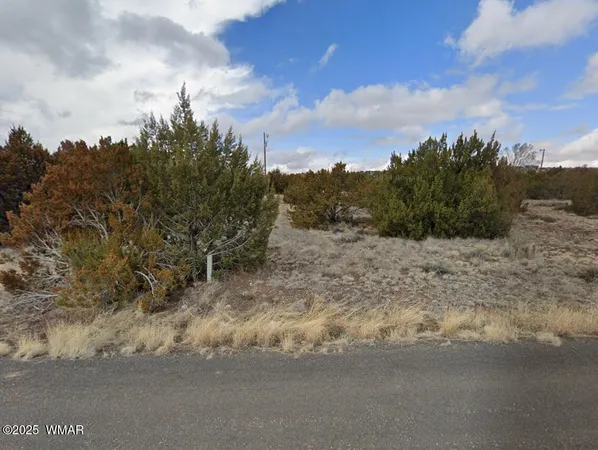 $11,000 | 137 Frontage Road, Concho, AZ 85924