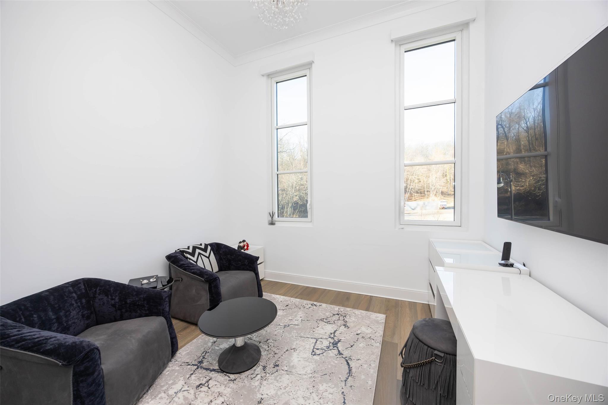 100 Garvies Point Road, Unit 1024 Glen Cove, NY 11542 - Photo 14 of 41 a living room with furniture and a window