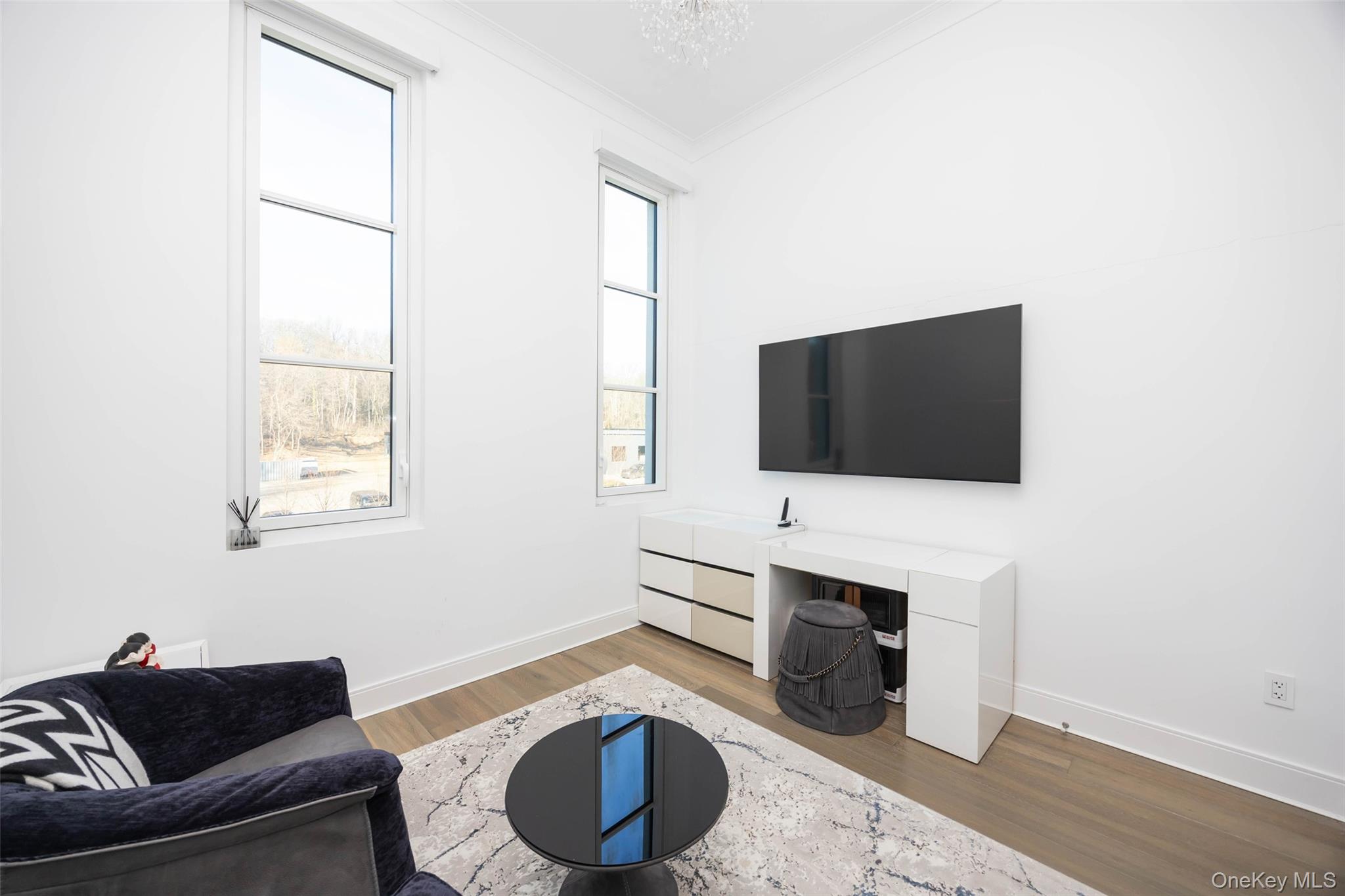 100 Garvies Point Road, Unit 1024 Glen Cove, NY 11542 - Photo 15 of 41 a living room with furniture and a flat screen tv