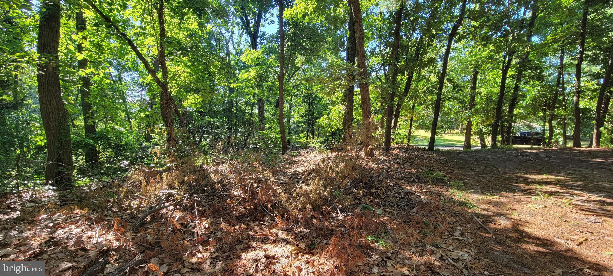 8 Tomlinson Avenue Clementon, NJ 08021 - Photo 3 of 6