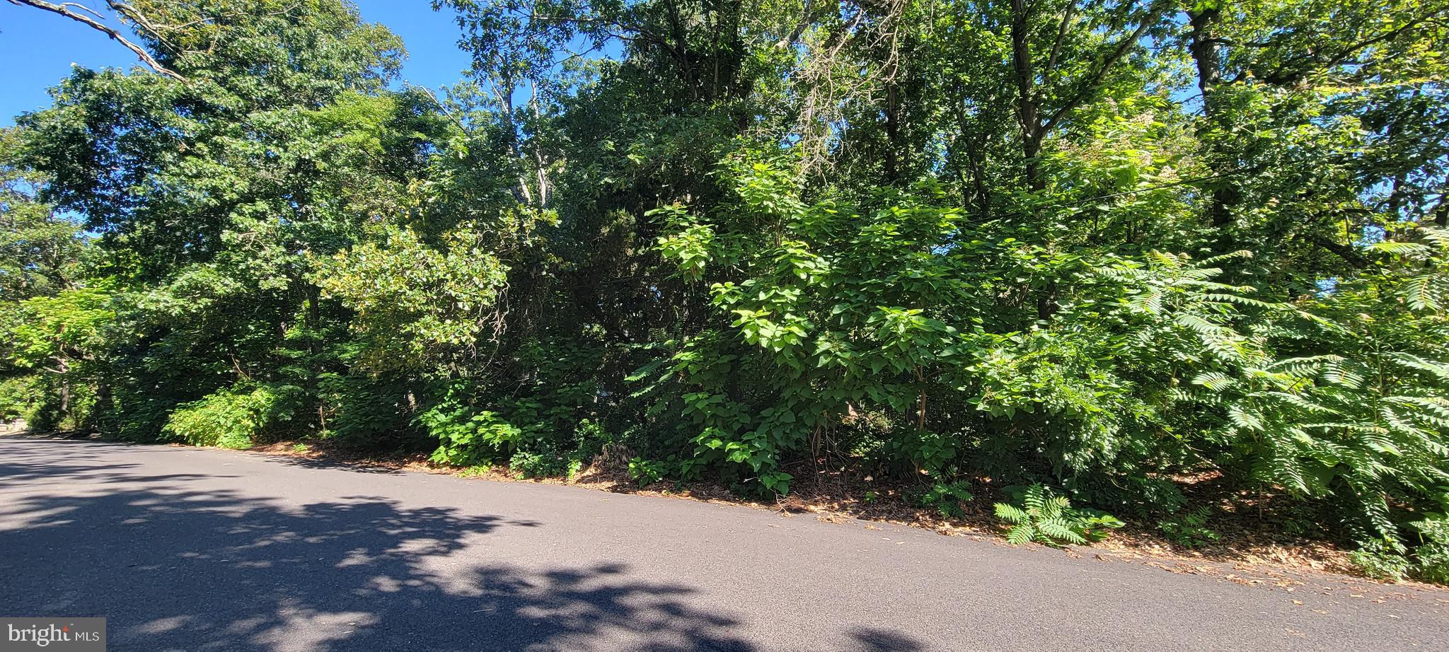 8 Tomlinson Avenue Clementon, NJ 08021 - Photo 4 of 6