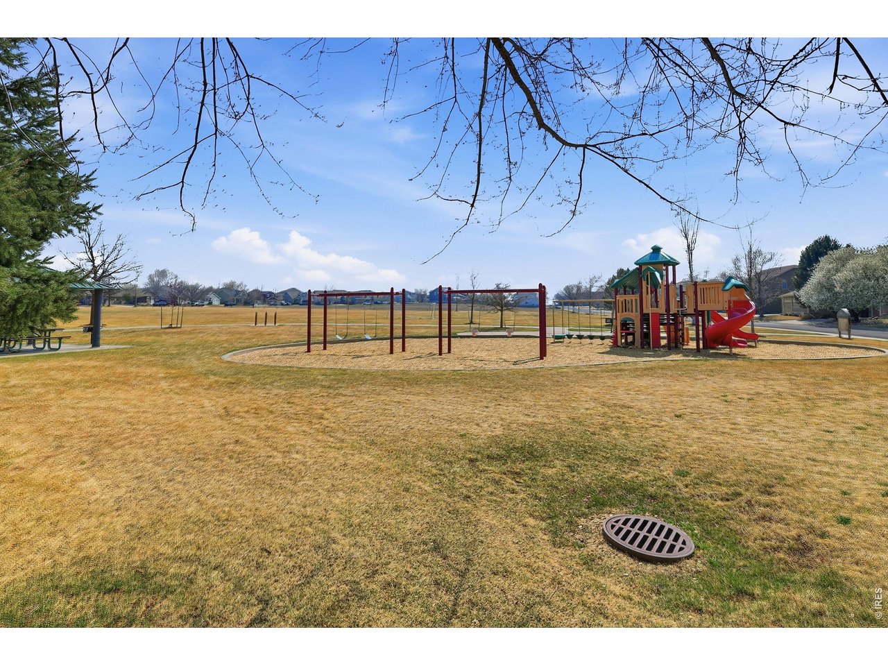 6291 Taylor Street Frederick, CO 80530 - Photo 50 of 50 a view of a yard