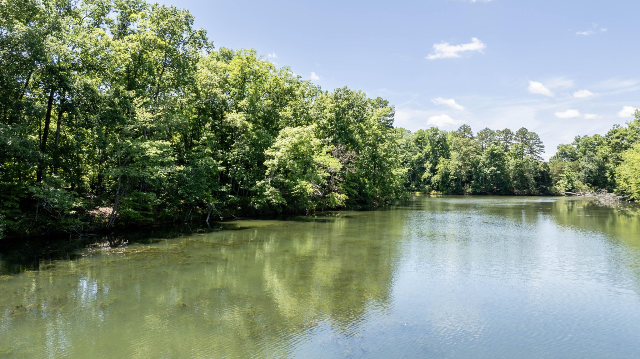 1088 Lower River Road Decatur, TN 37322 - Photo 14 of 15