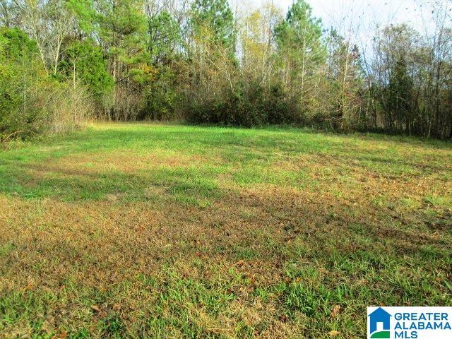 8068 Highway 11 Springville Al, Unit 1 Springville, AL 35146 - Photo 6 of 7